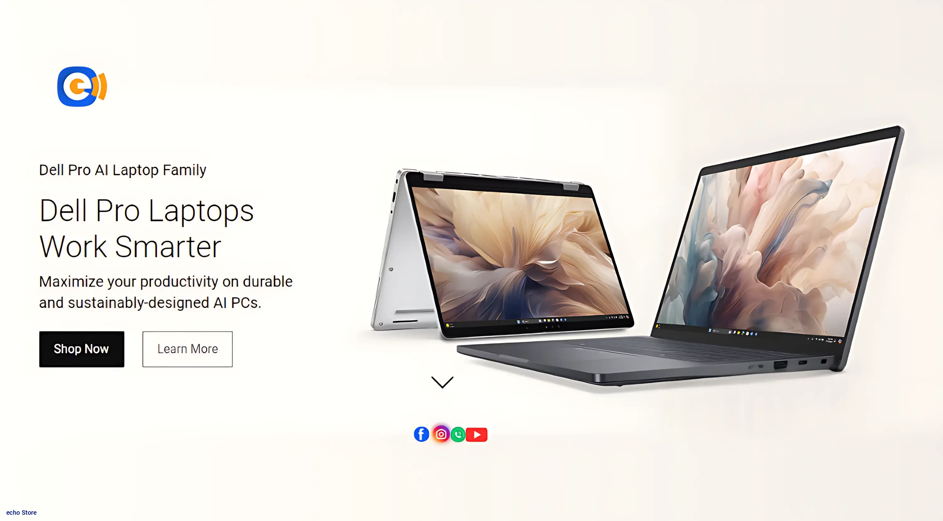 echo Store promo